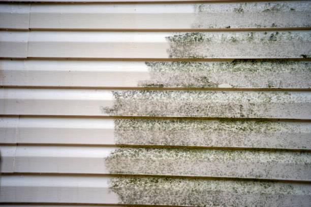 Same-Day Junk Removal Services in Short Hills, NJ